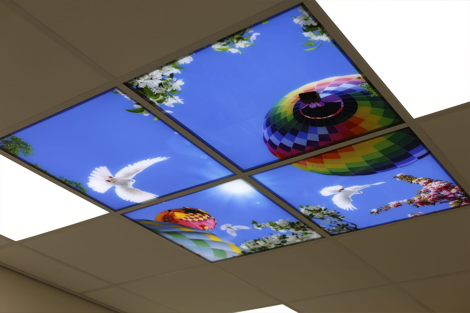 tandpunt-apeldoorn-verbouwing-11